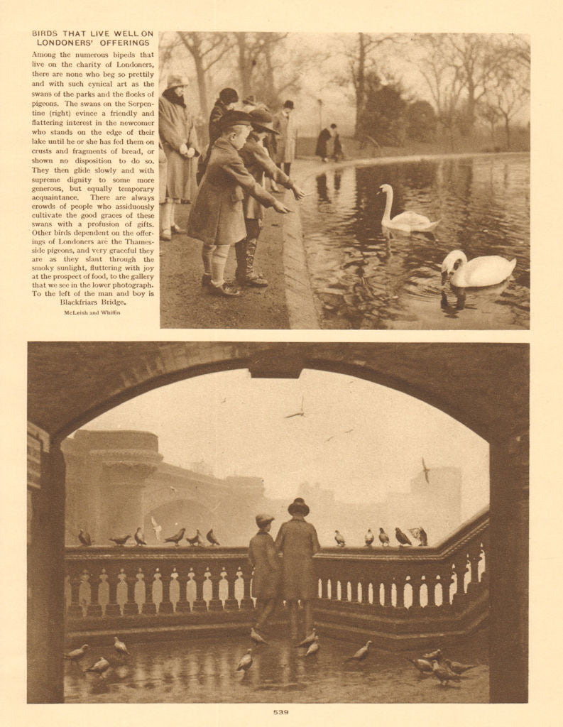 Children feeding Swans, Serpentine. Pigeons near Blackfriars Bridge 1926 print